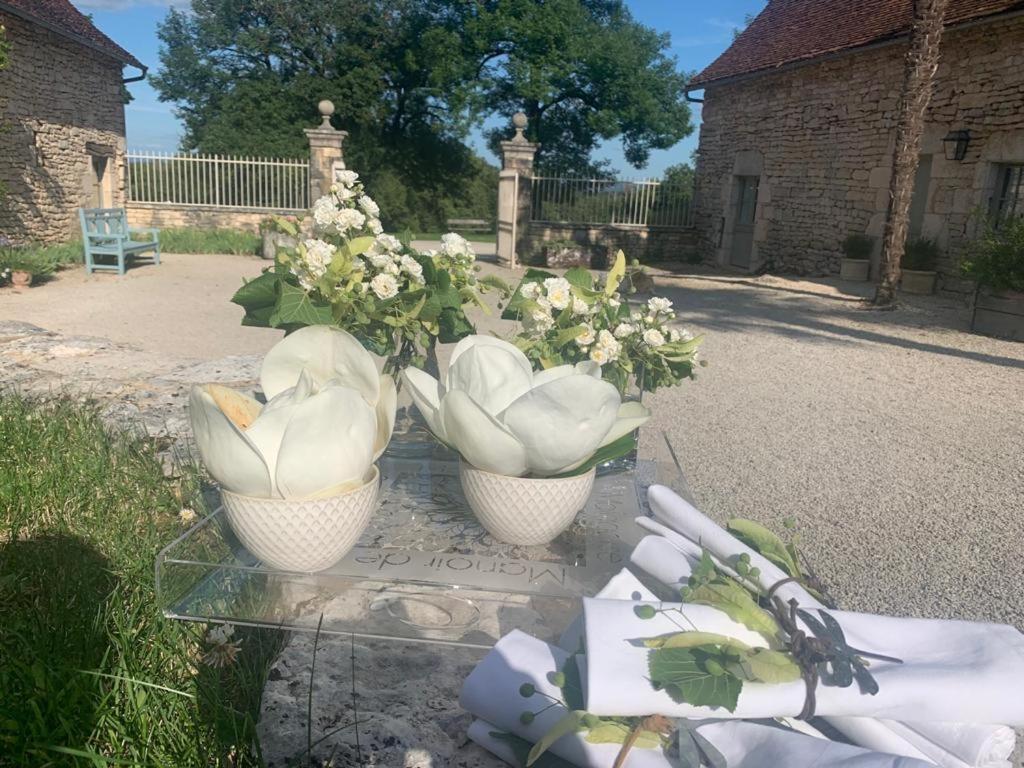 Manoir De Malagorse Cuzance Kültér fotó